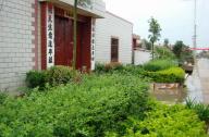 京津冀一體化發(fā)展：河北寧晉村莊綠化推最美鄉(xiāng)村建設